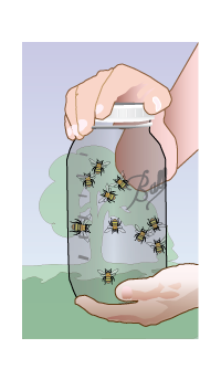 BEESDRAFT2a