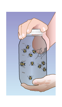 BEESDRAFT2b